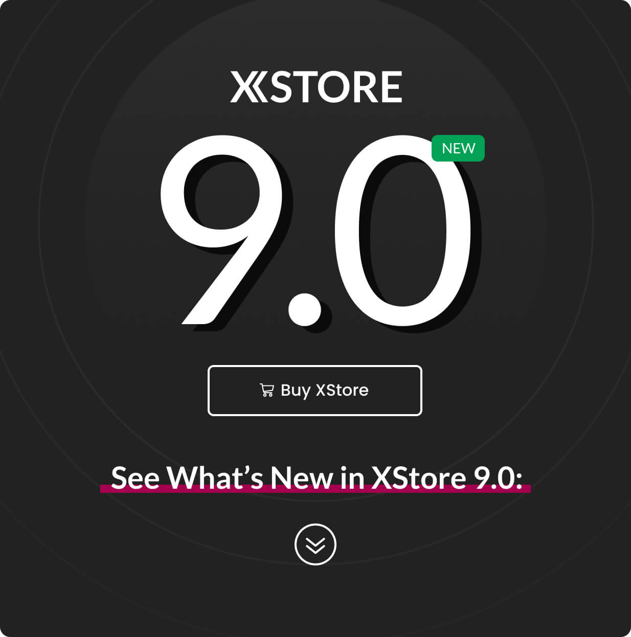 XStore - Tema multipropósito de WordPress WooCommerce 02